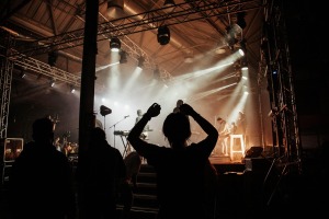 live concert audience